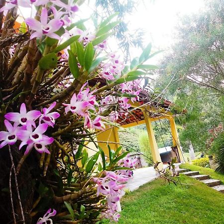 Casa Com Flores เปดราอาซุล ภายนอก รูปภาพ