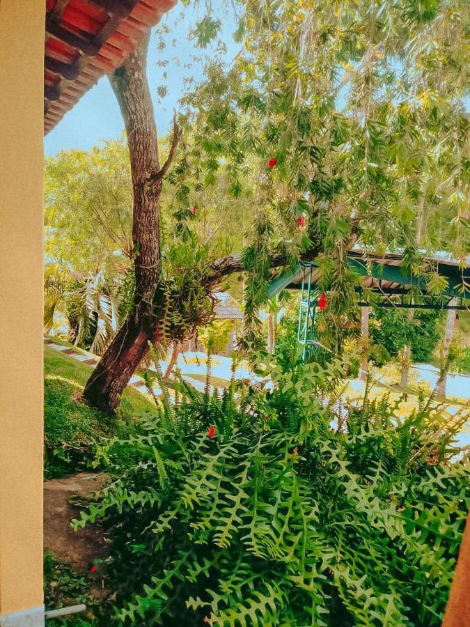 Casa Com Flores เปดราอาซุล ภายนอก รูปภาพ
